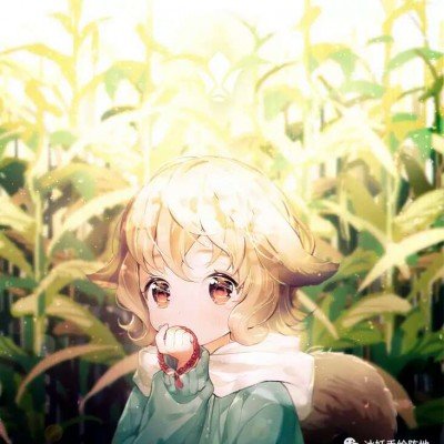 特朗普同意停火2周